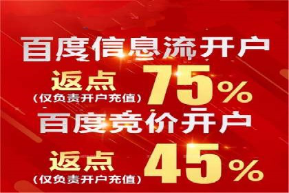 推广竞价策略解析：成功案例分享